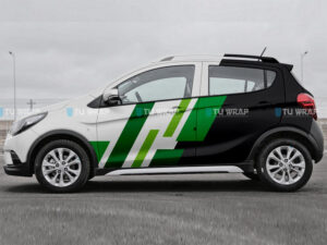 Tem xe Fadil trắng Fadil0051