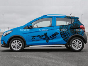 Tem xe Fadil xanh Fadil0081