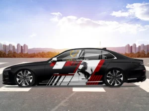 Tem xe VinFast Lux A thể thao 112