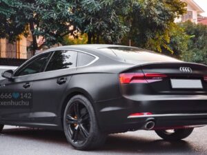 260636099 425180809079479 7838925085335427 n