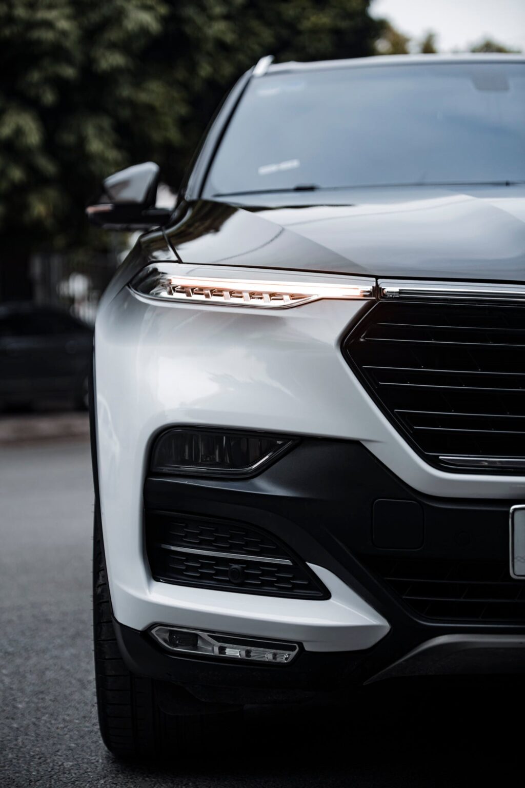 Lux SA được CityWrap phong cách tỉ mỉ